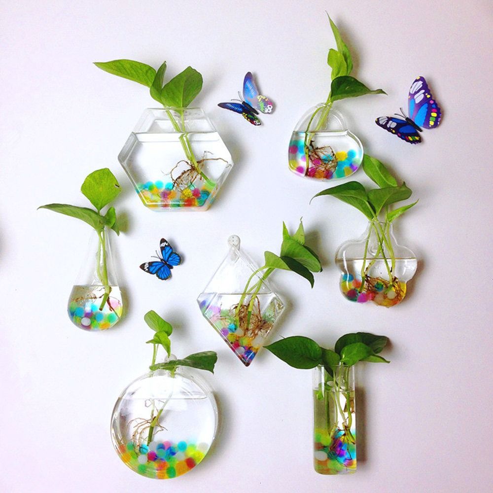 Aquarium Planted Wall - Kegel Form Wand Hängen Vase Transparent