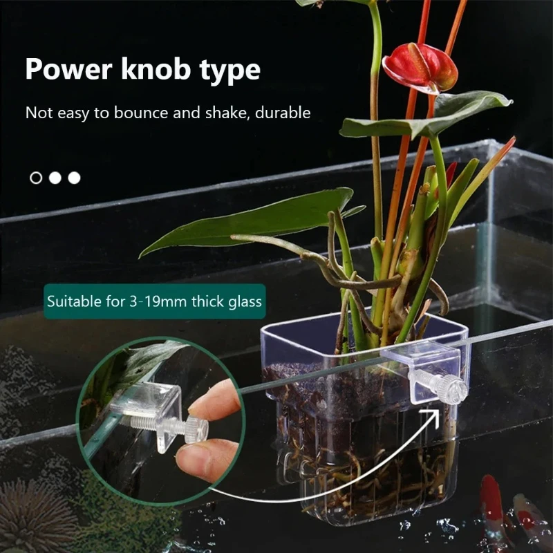 Aquarium Planted Wall - Aquarium-Hängepflanzgefäß, Wandmontierter Halter für Wasserpflanzen, Aquarium-Pflanzkorb,