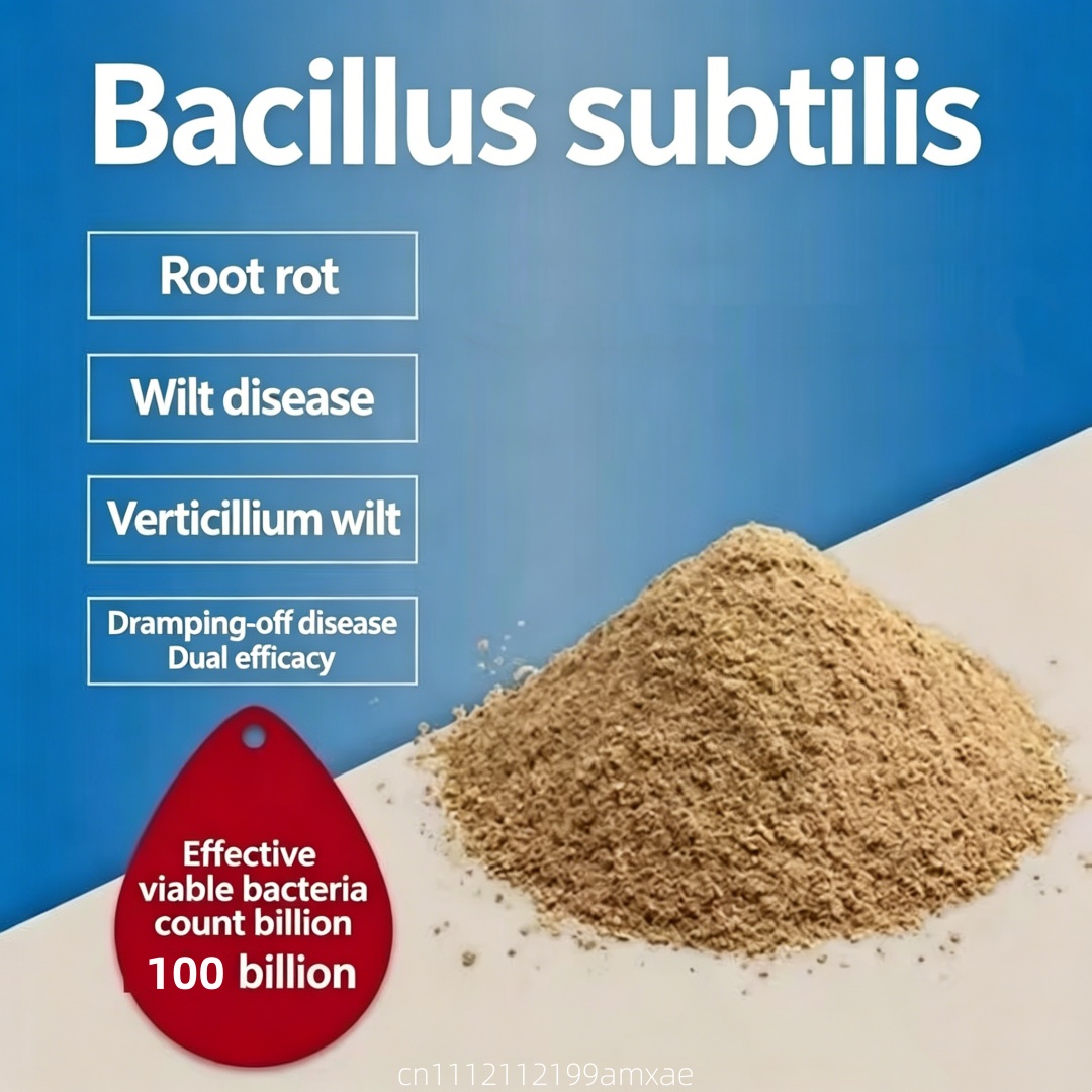 Aquarium Plant Fertilizer - Hochwirksames Bacillus Subtilis Pulver Organischer Probiotischer