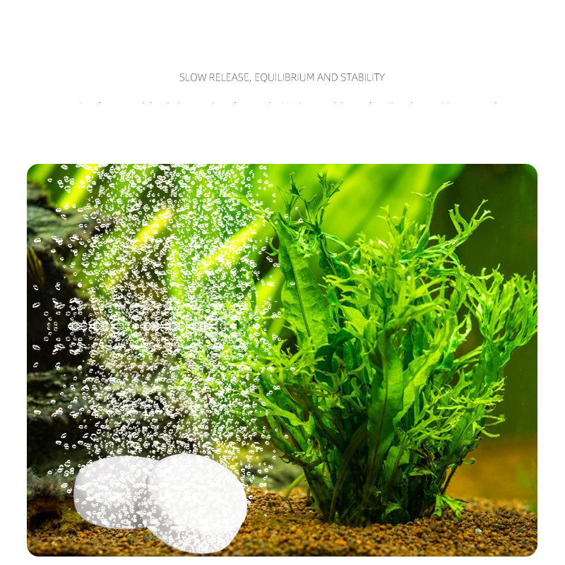 ISTA Aquarium Aquarium CO2 Tab – Aquarium Plant Fertilizer Bewertung und Preis