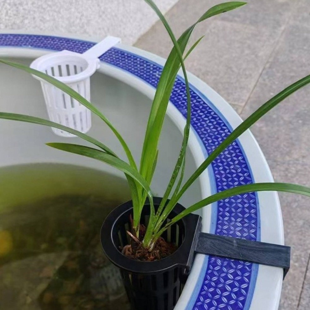 Wandmontierter Aquarium-Pflanz – Aquarium Planted Wall Bewertung und Preis