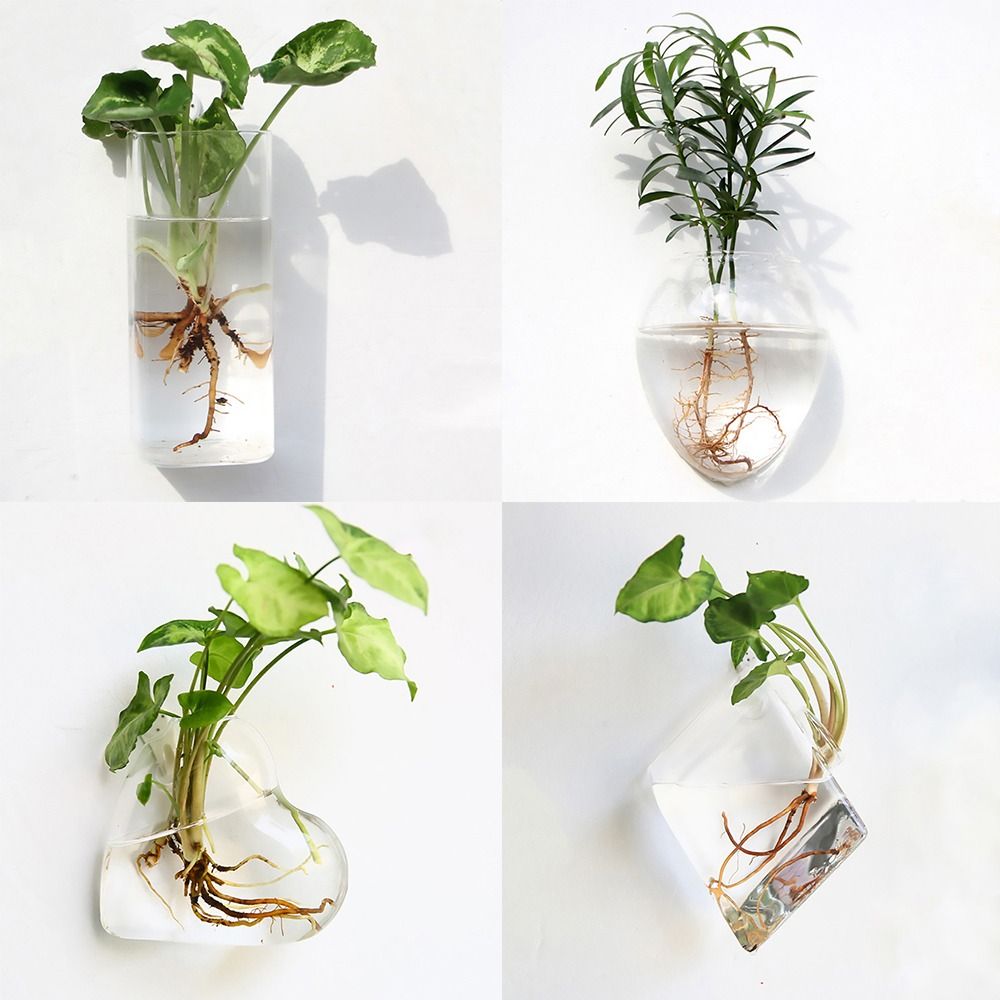 Kegel Form Wand Hängen Vase Tr – Aquarium Planted Wall Bewertung und Preis