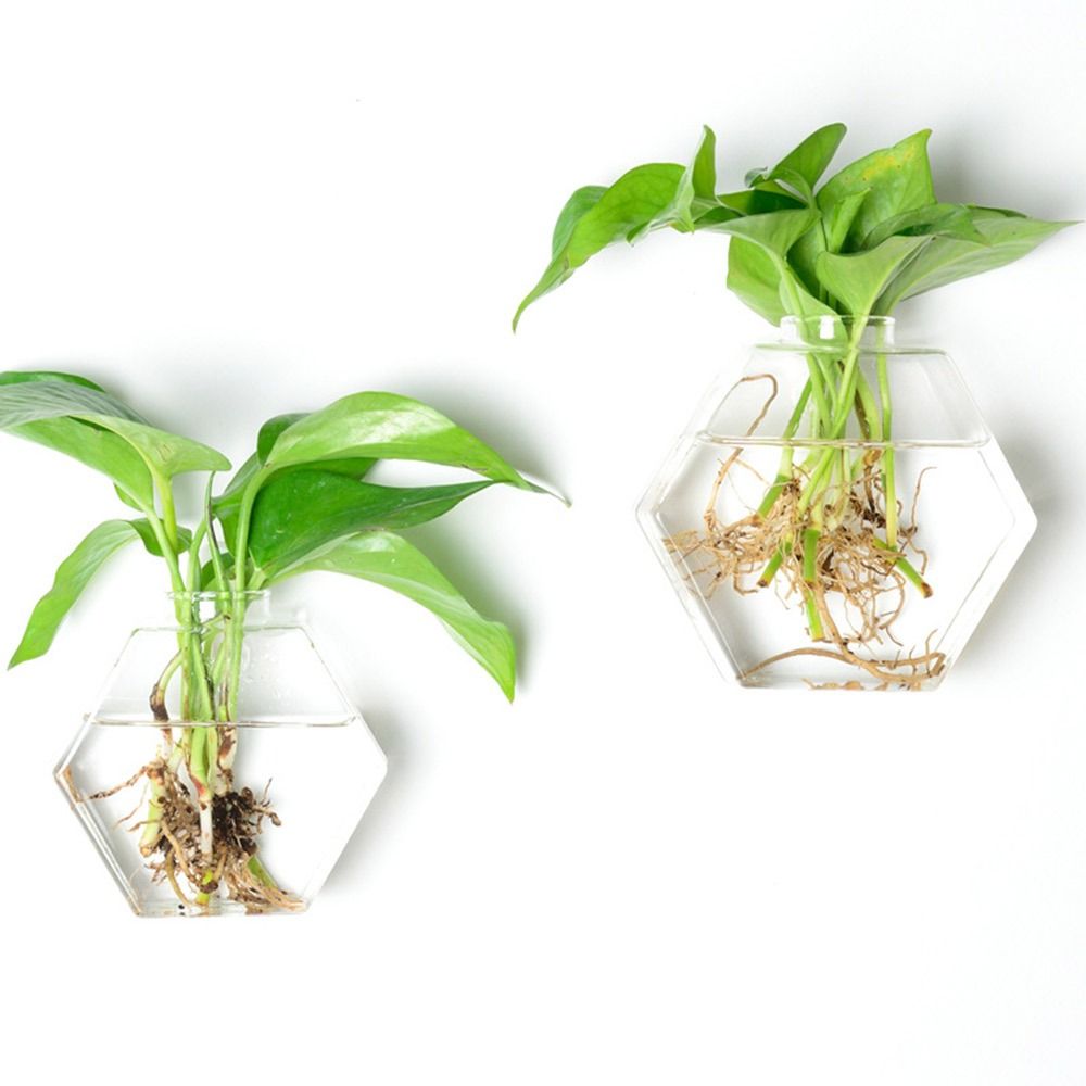 Kegel Form Wand Hängen Vase Tr – Aquarium Planted Wall Bewertung und Preis