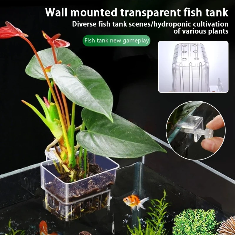Aquarium-Hängepflanzgefäß, Wan – Aquarium Planted Wall Bewertung und Preis