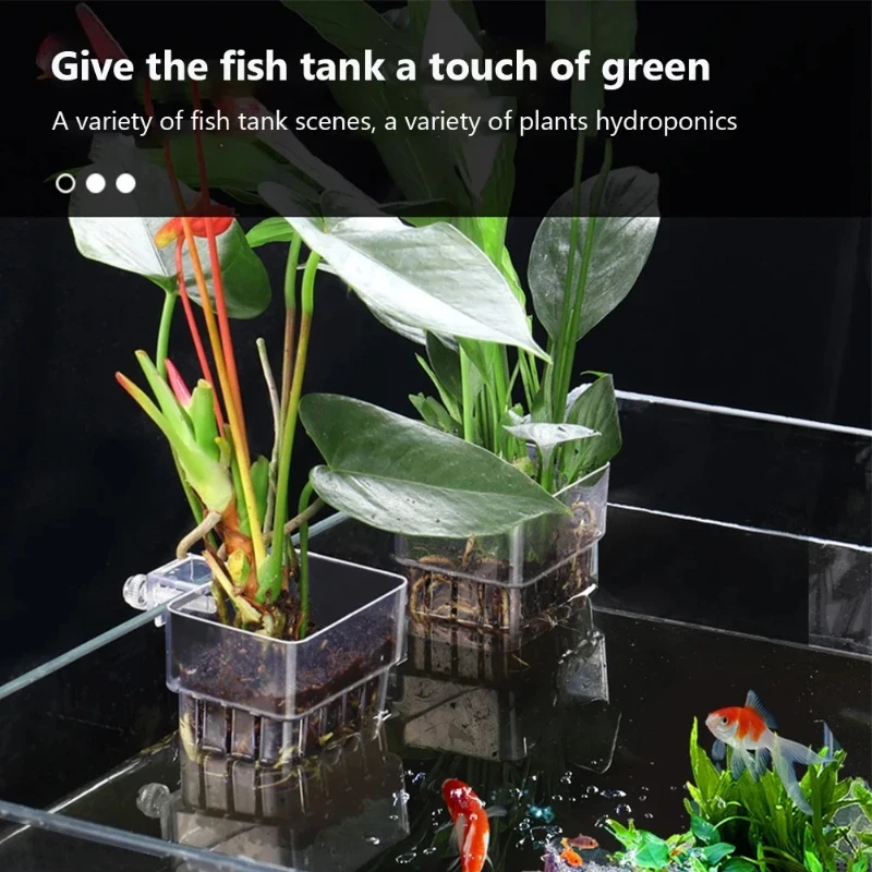 Aquarium-Hängepflanzgefäß, Wan – Aquarium Planted Wall Bewertung und Preis