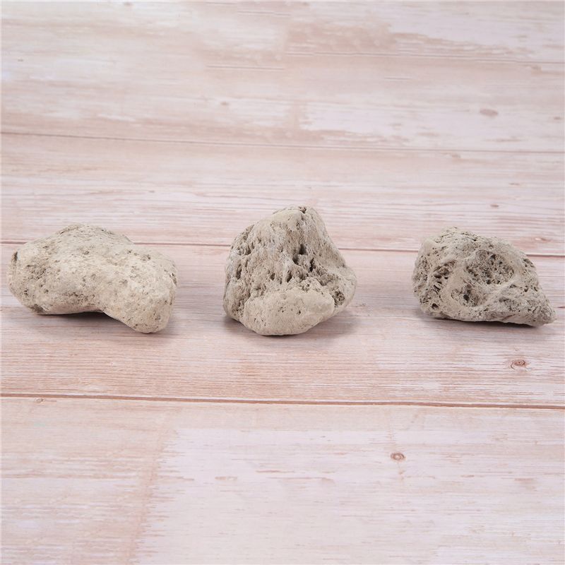 AS60-3Pcs Schwimmende Echte St – Planted Aquarium Models Bewertung und Preis