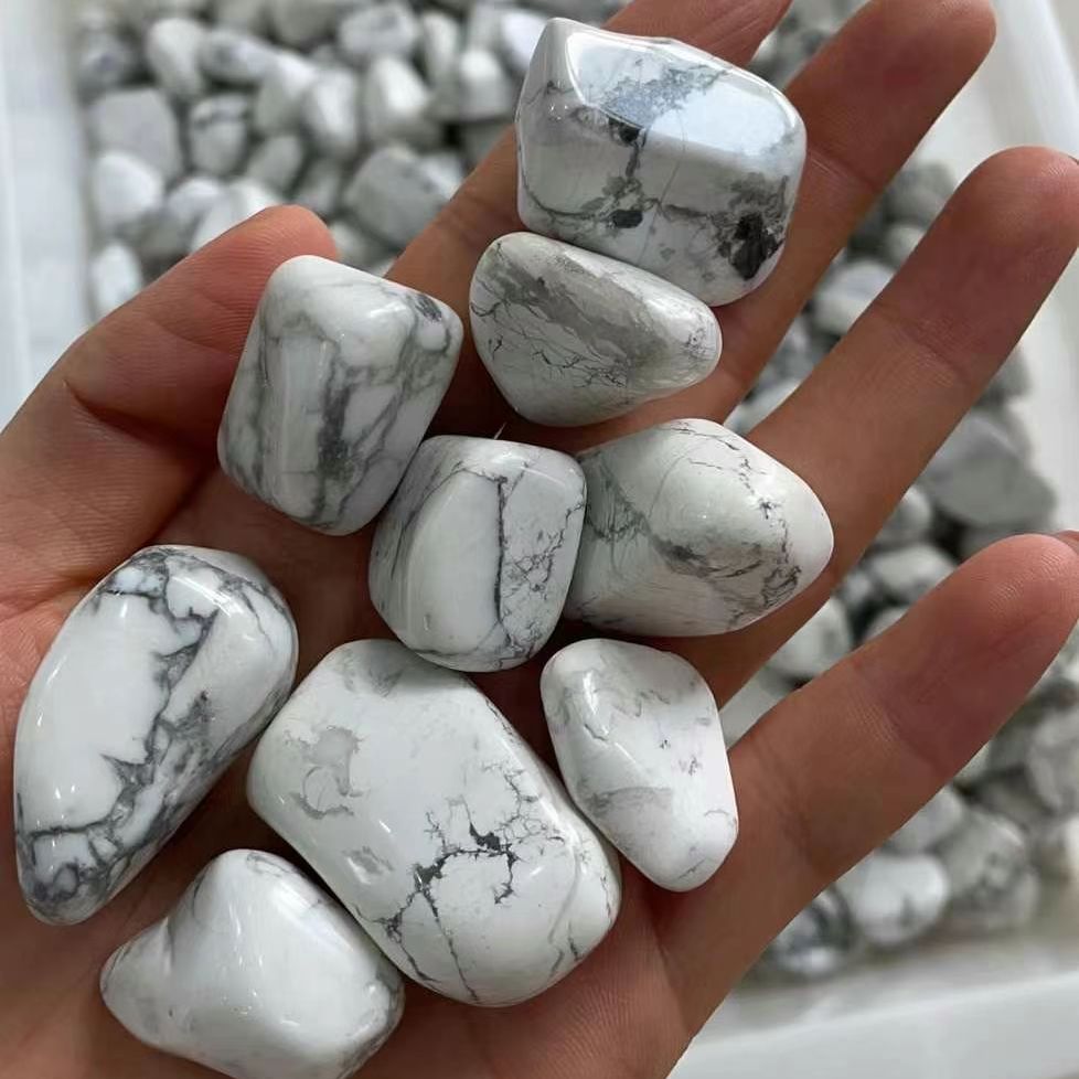 Natürlicher Weißer Türkis Rohs – Planted Aquarium With Rocks Bewertung und Preis