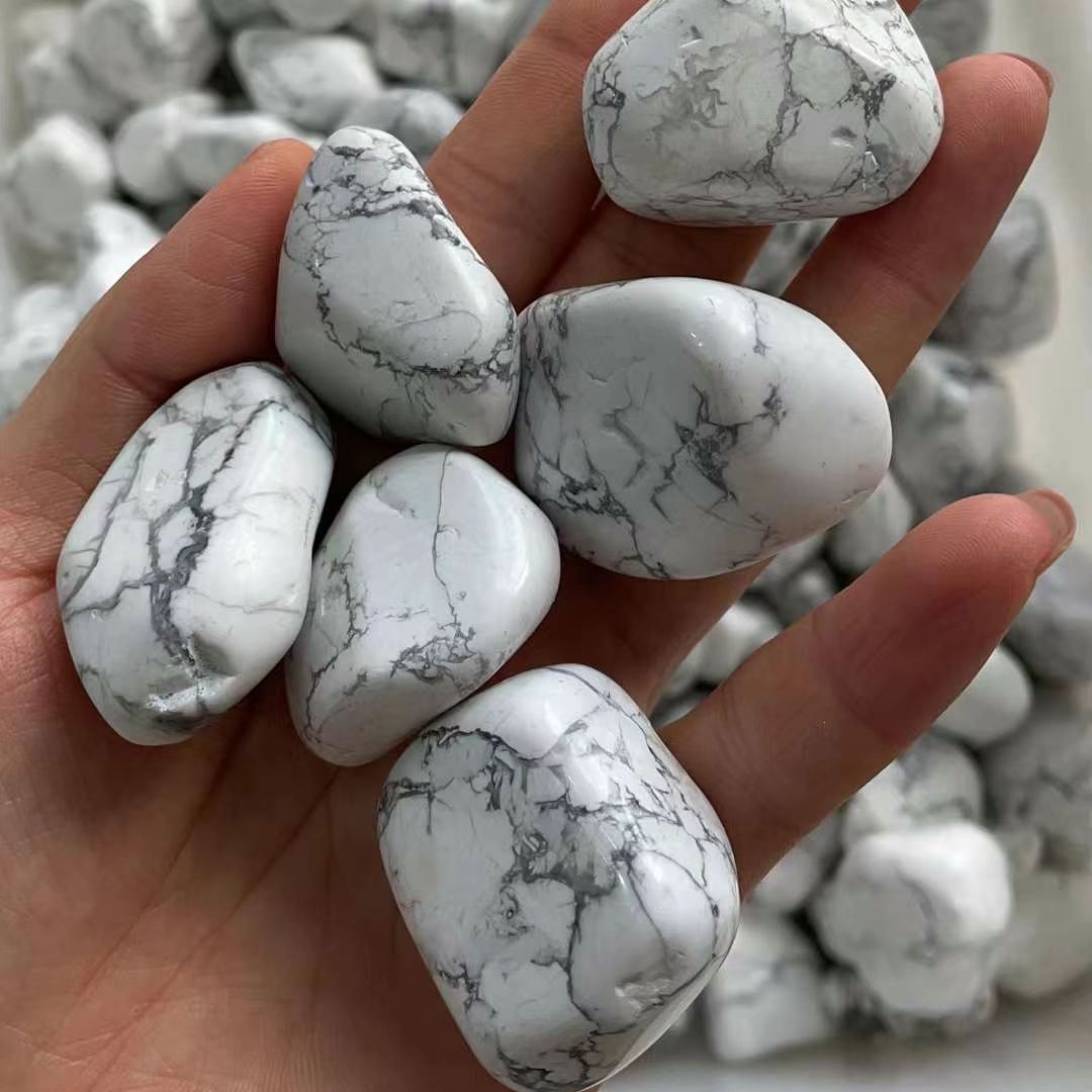 Natürlicher Weißer Türkis Rohs – Planted Aquarium With Rocks Bewertung und Preis