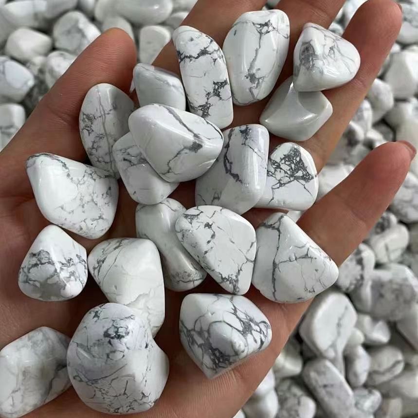 Natürlicher Weißer Türkis Rohs – Planted Aquarium With Rocks Bewertung und Preis