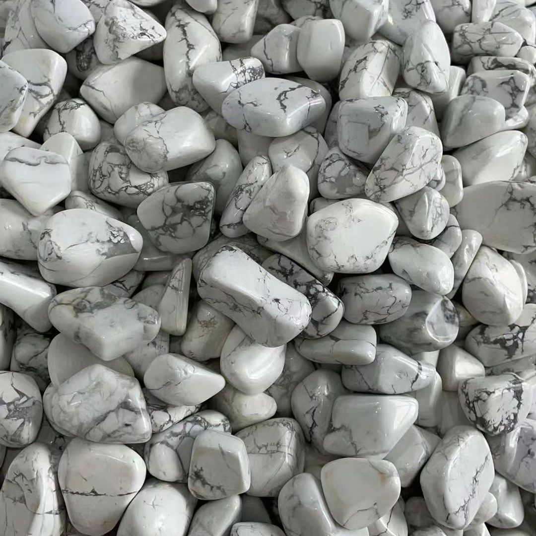 Natürlicher Weißer Türkis Rohs – Planted Aquarium With Rocks Bewertung und Preis