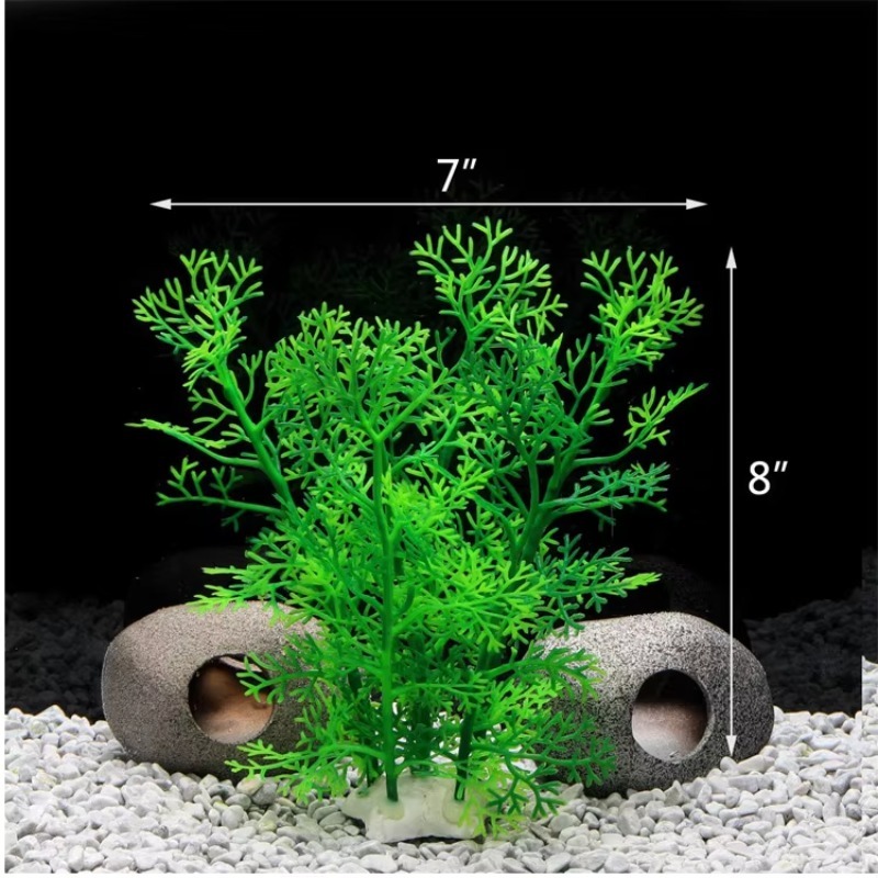 10 Stück Bestseller Neuerschei – Planted Aquarium With Rocks Bewertung und Preis