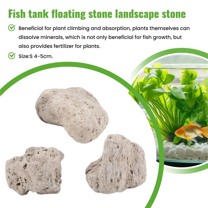 A20F-3 Stück Schwimmende Echte – Planted Aquarium Models Bewertung und Preis