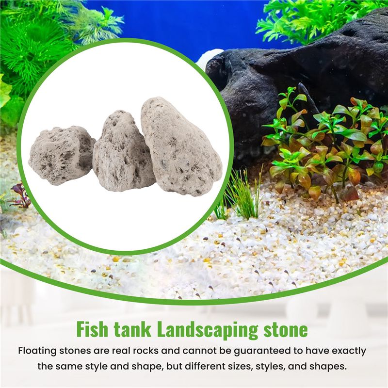 A20F-3 Stück Schwimmende Echte – Planted Aquarium Models Bewertung und Preis