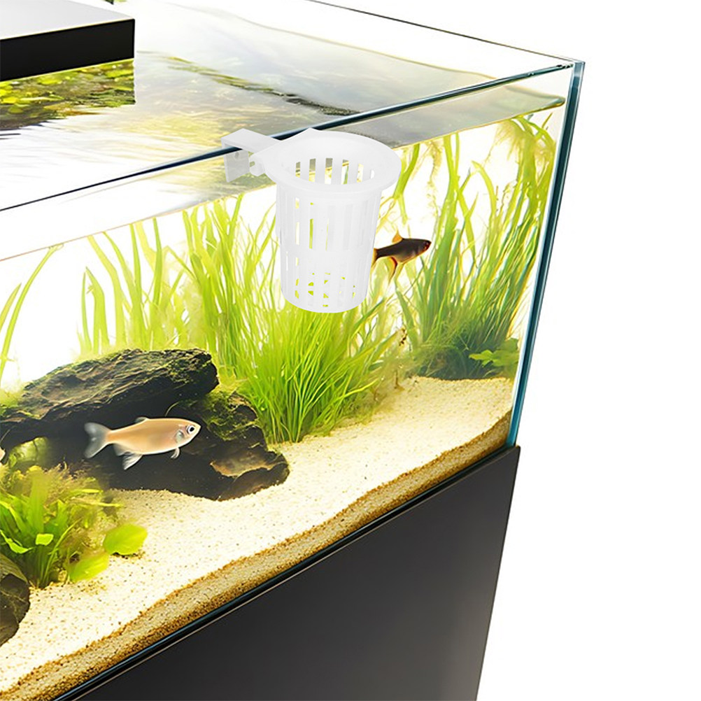 4 Stück Hydroponische Hängekör – Aquarium Planted Wall Bewertung und Preis