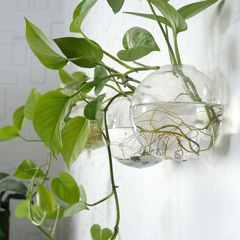 Wandbehang Acryl Fischschale P – Aquarium Planted Wall Bewertung und Preis