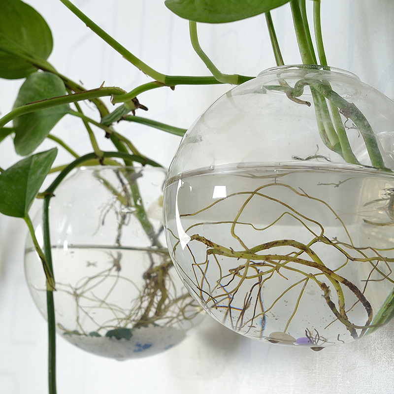 Wandbehang Acryl Fischschale P – Aquarium Planted Wall Bewertung und Preis