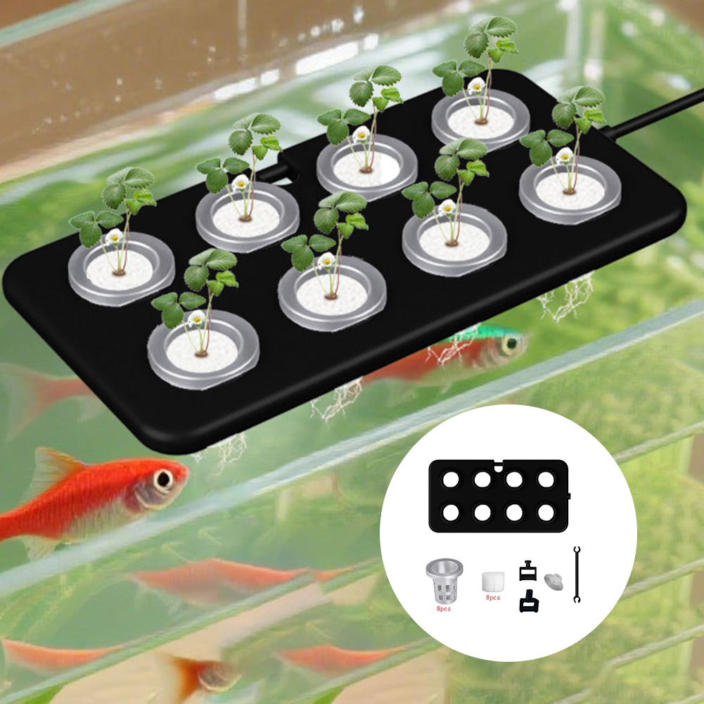 Wasserisches schwimmendes Pfla – Aquarium Planted Wall Bewertung und Preis