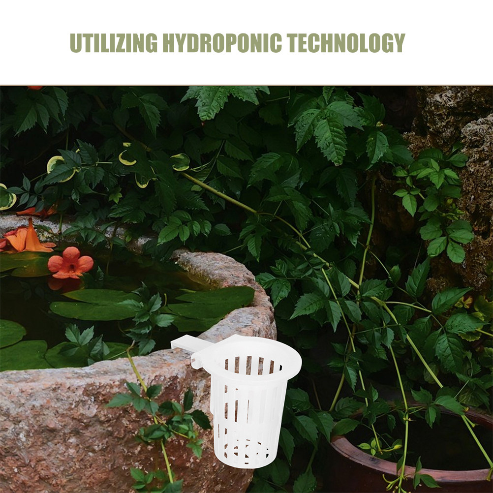 4 Stück Wandmontierte Hydrokul – Aquarium Planted Wall Bewertung und Preis