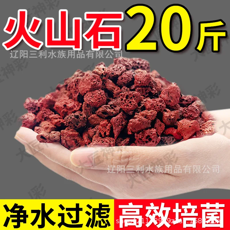 Natürlicher poröser roter Lava – Aquarium Plant Red Bewertung und Preis