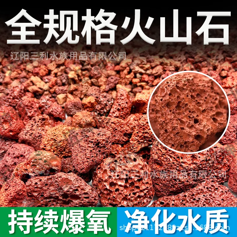 Natürlicher poröser roter Lava – Aquarium Plant Red Bewertung und Preis