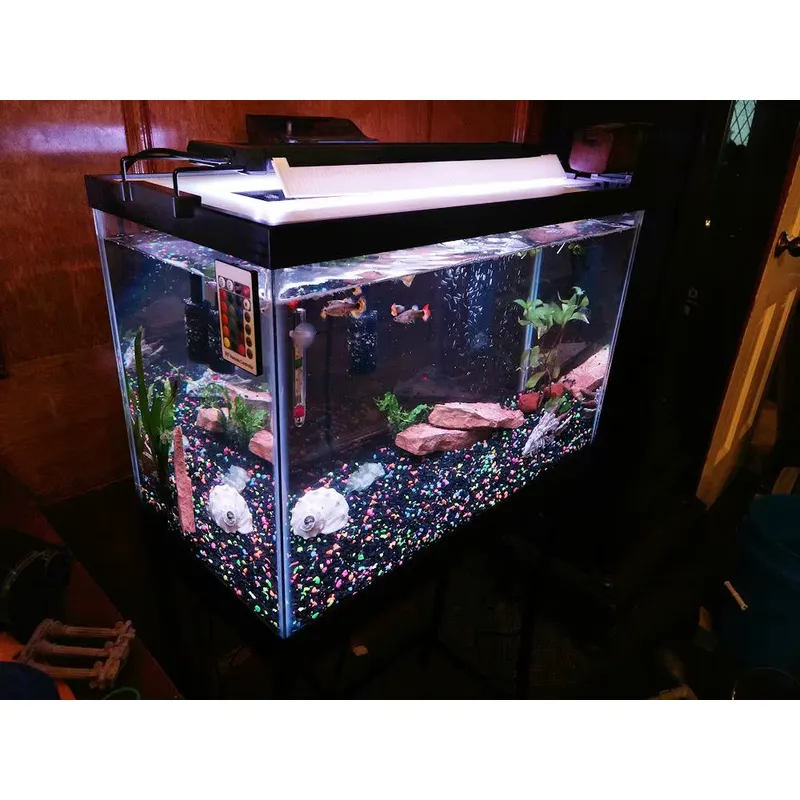 GAKO Modell 11W ZJL-60A Bestse – Planted Aquarium Models Bewertung und Preis