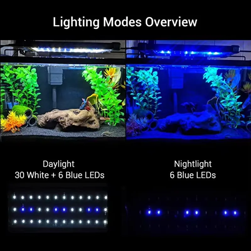 GAKO Modell 11W ZJL-60A Bestse – Planted Aquarium Models Bewertung und Preis