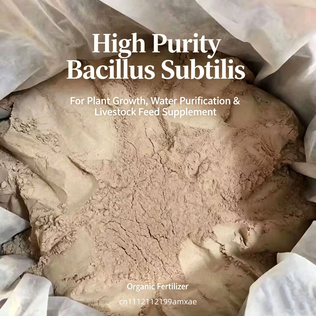 Hochwirksames Bacillus Subtili – Aquarium Plant Fertilizer Bewertung und Preis