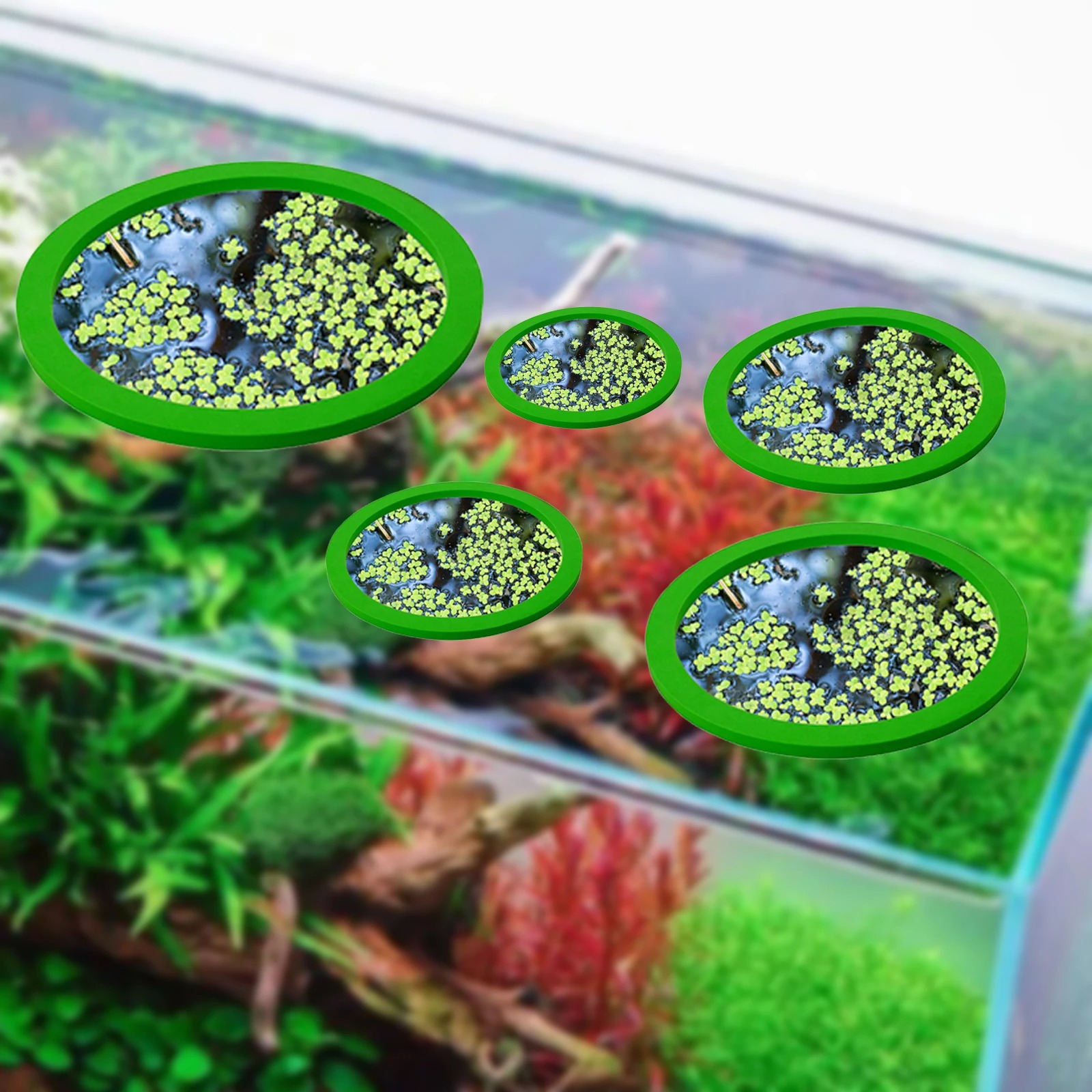5Pcs EVA Fisch Fütterung Ring  – Aquarium Planted Fish Tank Bewertung und Preis