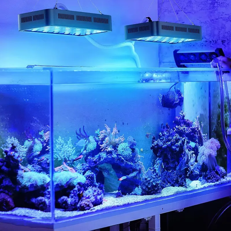 WLAN-App-Steuerung Korallenrif – Planted Aquarium Models Bewertung und Preis