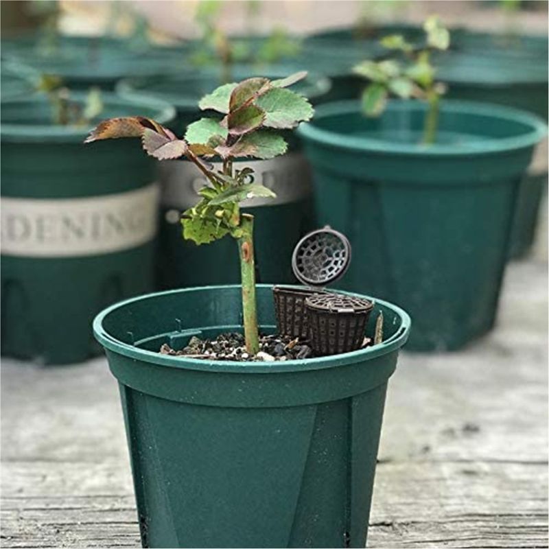 ABUH-Garden Pflanzendünger-Net – Aquarium Plant Fertilizer Bewertung und Preis
