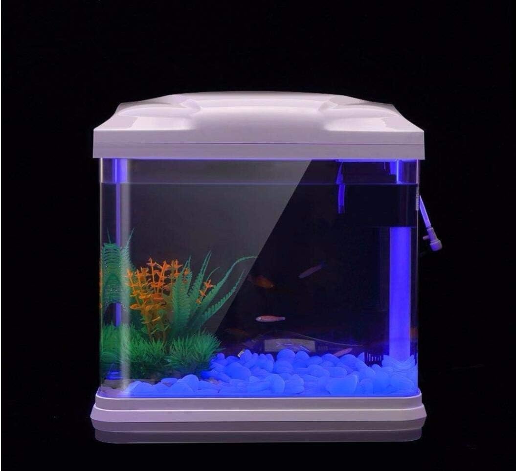 Aquarium-Felsen leuchten blaue – Planted Aquarium With Rocks Bewertung und Preis