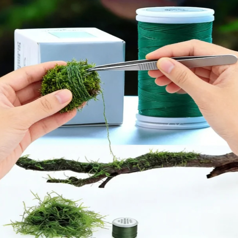 Biologisch Abbaubarer Aquarium – Planted Aquarium With Rocks Bewertung und Preis
