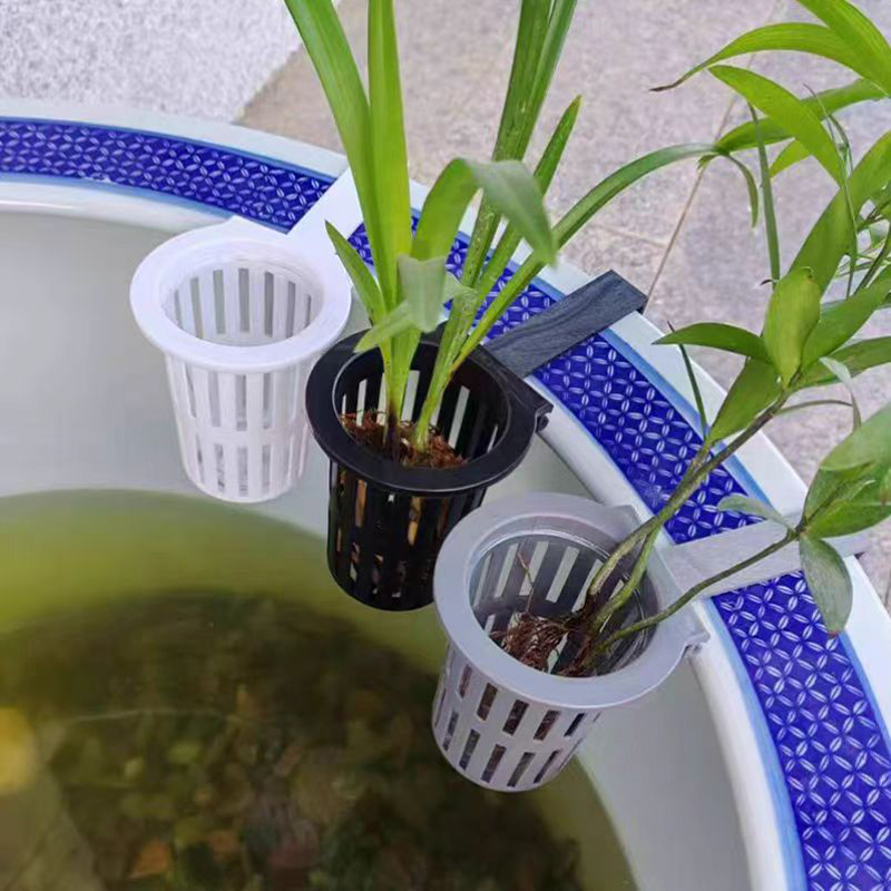1/3Pcs Aquarium Pflanzen Korb  – Aquarium Planted Wall Bewertung und Preis