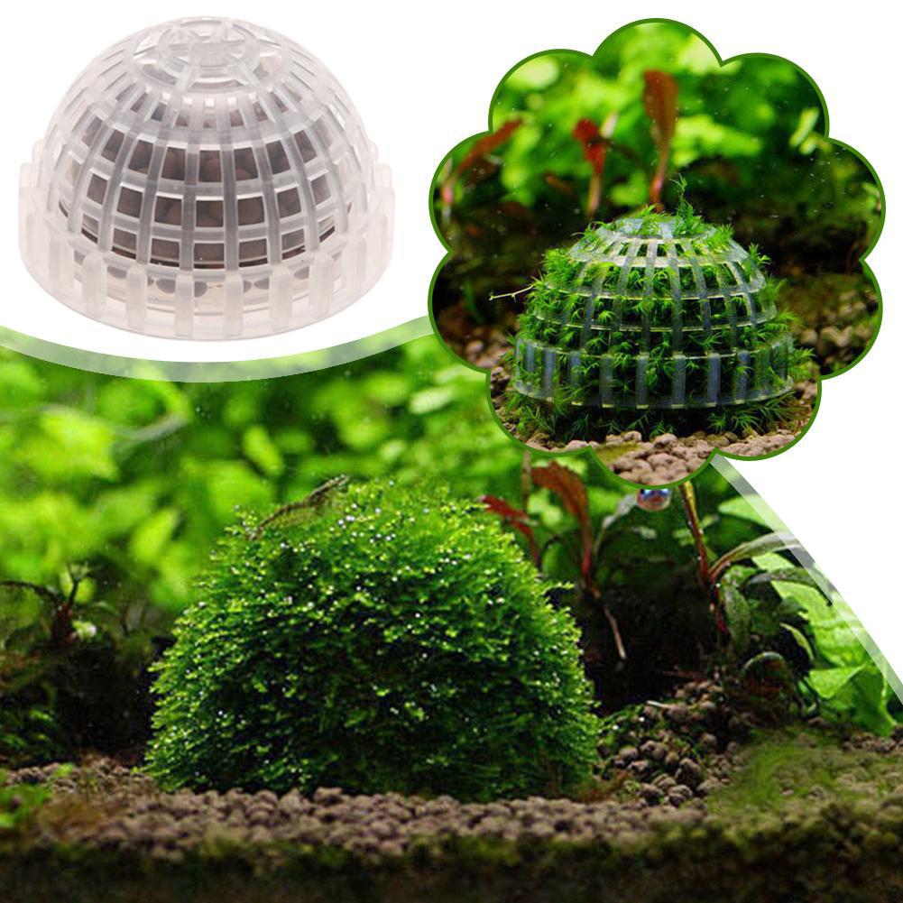 1-5 Stück Aquarium-Dekorations – Aquarium Plant Red Bewertung und Preis