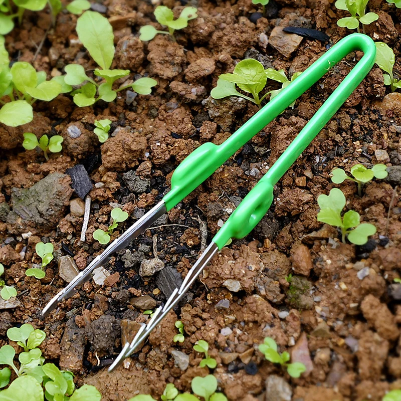 1Pc Gartenarbeit Pinzette Sukk – Planted Clip Tweezers Bewertung und Preis