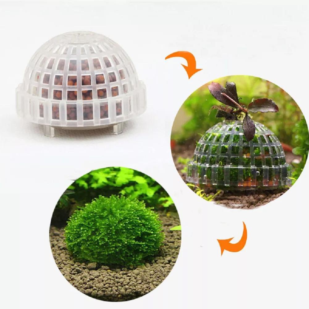 Aquarium Dekoration Pflanzen B – Aquarium Plant Red Bewertung und Preis