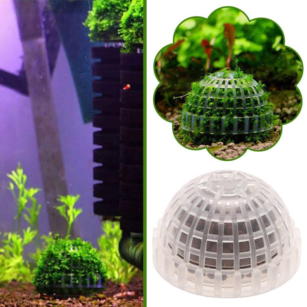 Aquarium Dekoration Pflanzen B – Aquarium Plant Red Bewertung und Preis