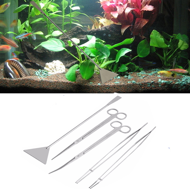 Professionelles Aquarium-Wartu – Planted Aquarium Models Bewertung und Preis