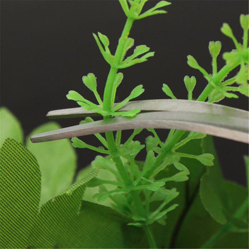 Professionelles Aquarium-Wartu – Planted Aquarium Models Bewertung und Preis