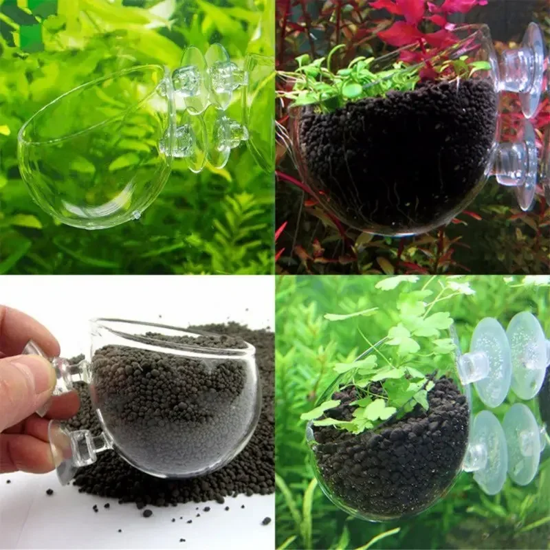 Transparenter Aquarien-Blument – Aquarium Plant Red Bewertung und Preis