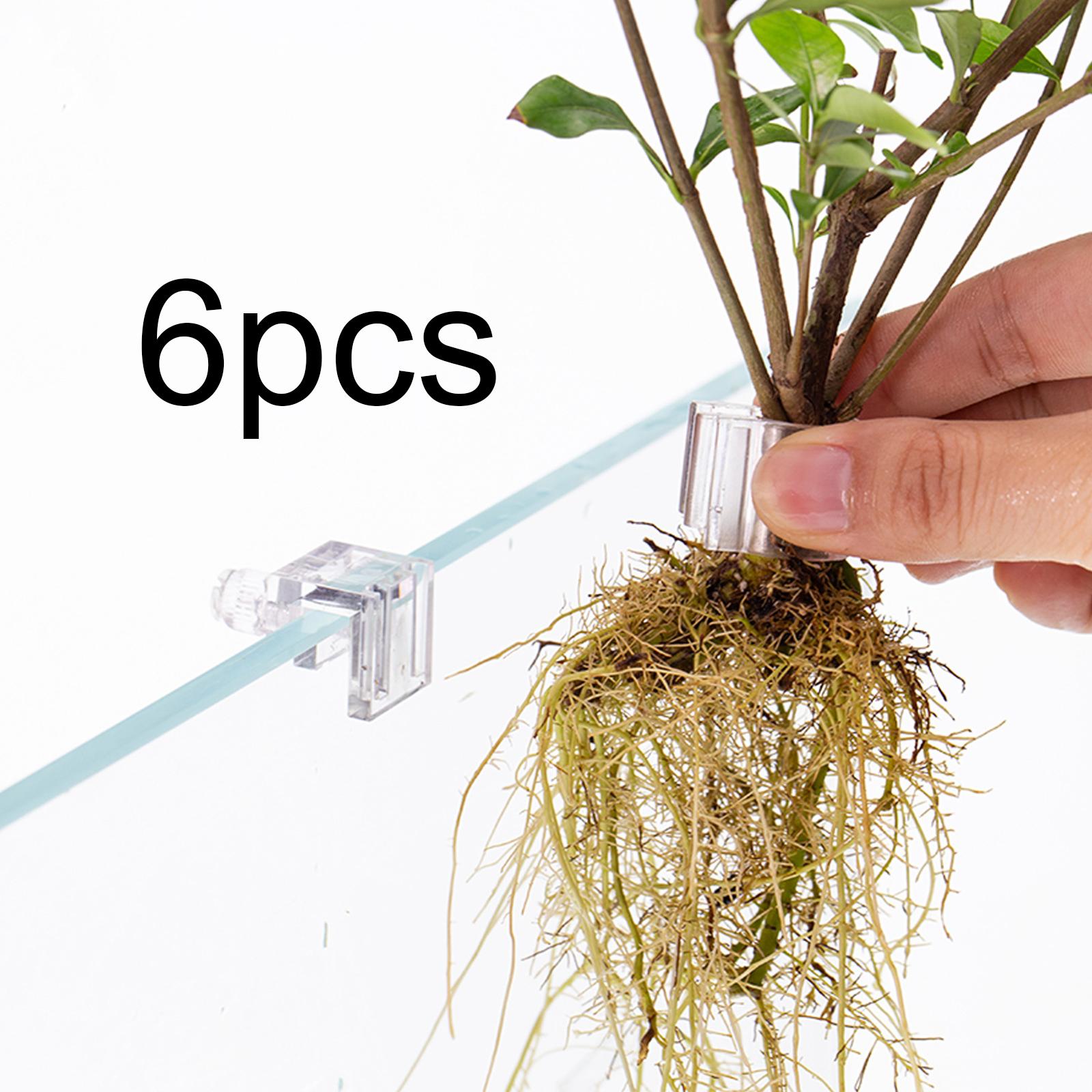 Langlebiger Transparenter Pfla – Aquarium Planted Wall Bewertung und Preis