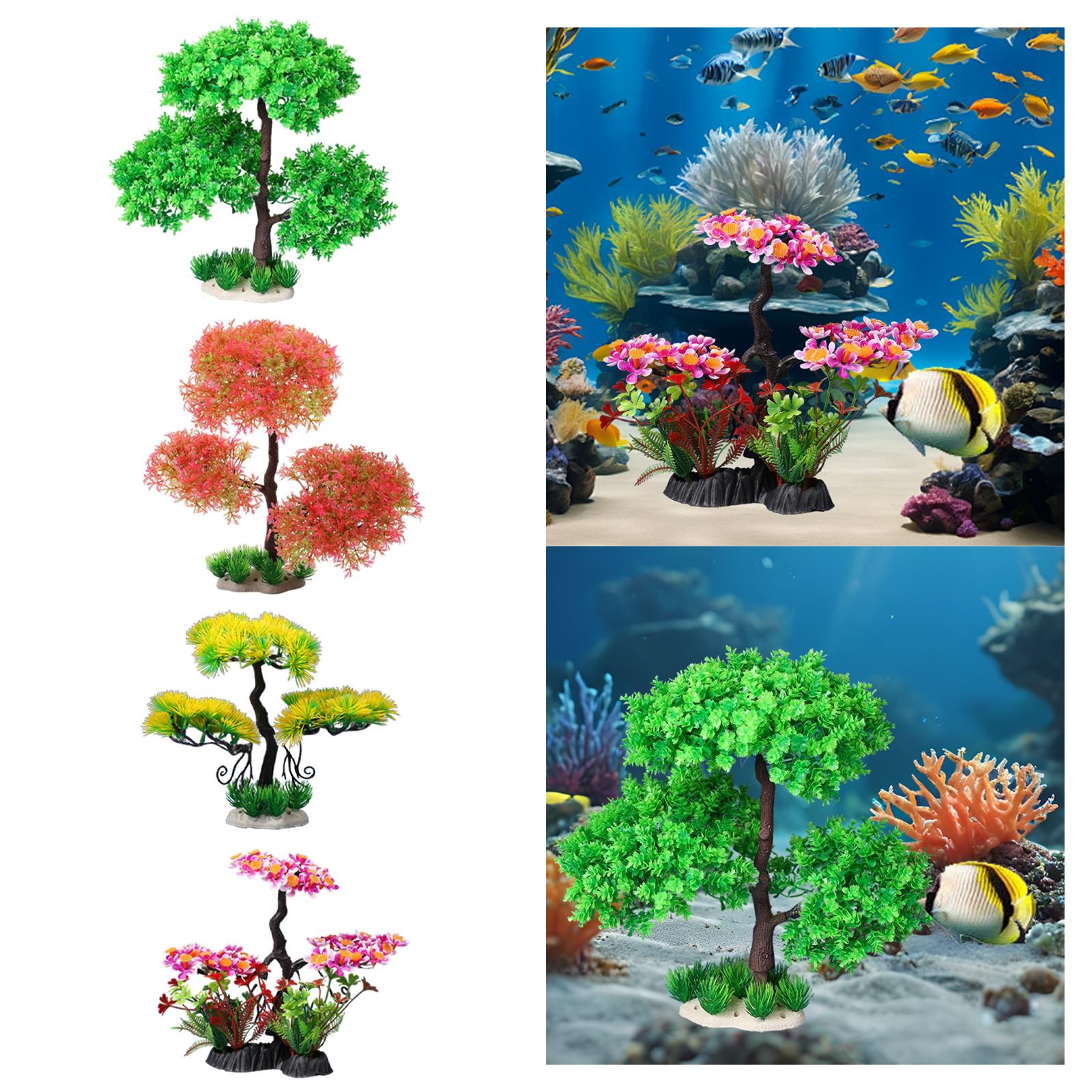 Aquariumpflanzen für Süßwasser – Planted Aquarium Models Bewertung und Preis