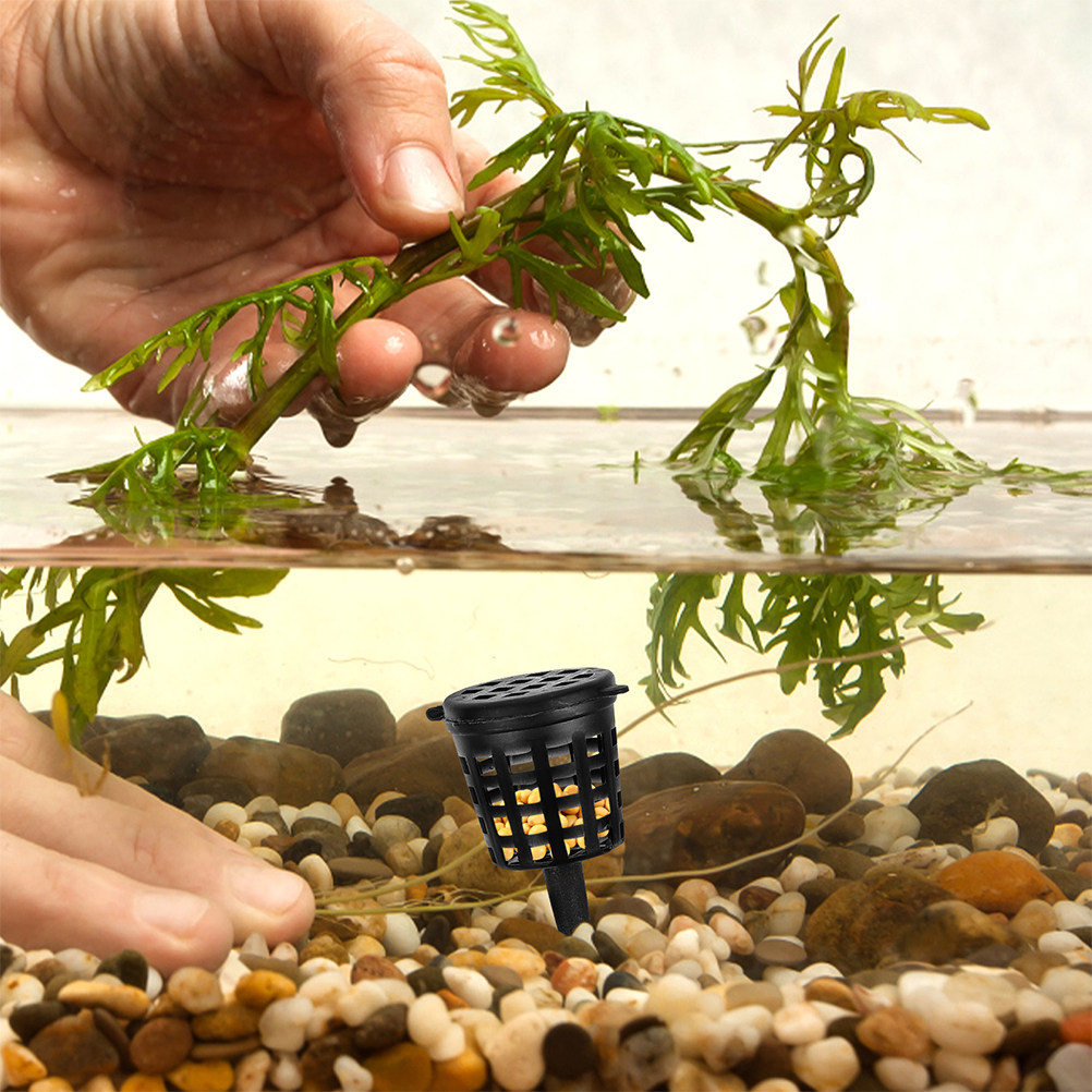 120 Stück Düngerkörbe, tragbar – Aquarium Plant Fertilizer Bewertung und Preis