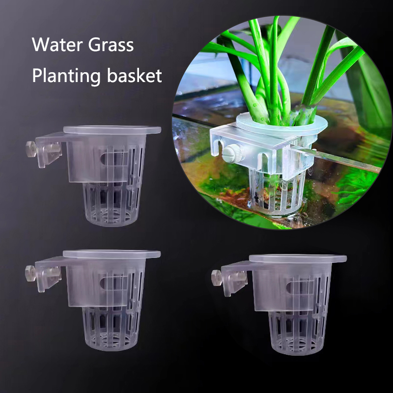 Aquarium Pflanzen Korb Hydroku – Aquarium Planted Wall Bewertung und Preis