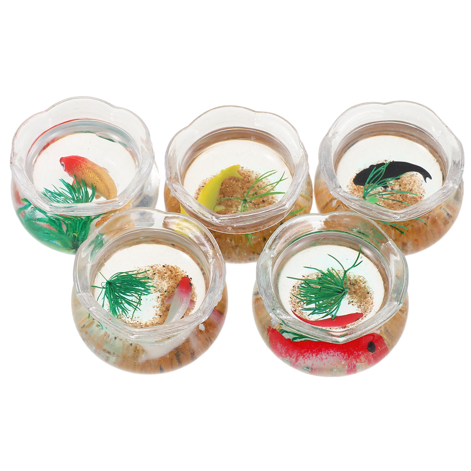 5 Stück Mini-Fischbecken, real – Aquarium Planted Fish Tank Bewertung und Preis